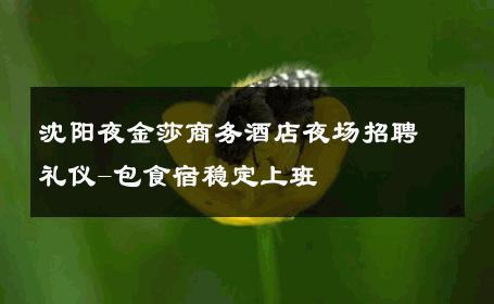 沈阳夜金莎商务酒店夜场招聘礼仪-包食宿稳定上班 