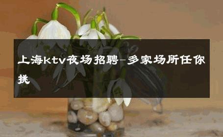 上海ktv夜场招聘-多家场所任你挑 