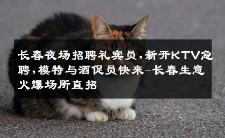 长春夜场招聘礼宾员,新开KTV急聘,模特与酒促员快来-长春生意火爆场所直招