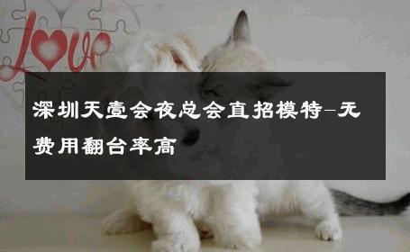深圳天壹会夜总会直招模特-无费用翻台率高 