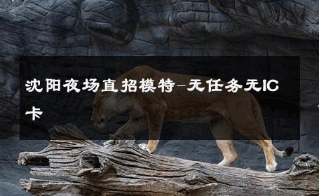 沈阳夜场直招模特-无任务无IC卡 