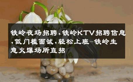 铁岭夜场招聘,铁岭KTV招聘信息,低门槛面试,轻松上班-铁岭生意火爆场所直招