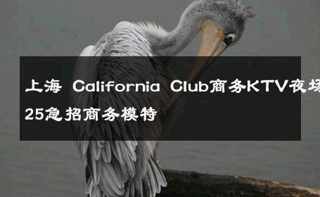 上海 California Club商务KTV夜场2025急招商务模特 
