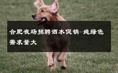 合肥夜场招聘酒水促销-纯绿色需求量大 