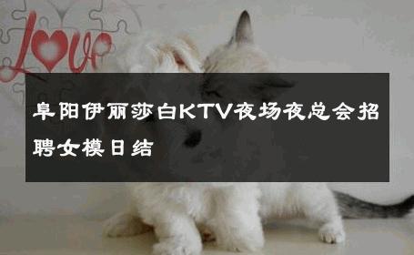 阜阳伊丽莎白KTV夜场夜总会招聘女模日结 