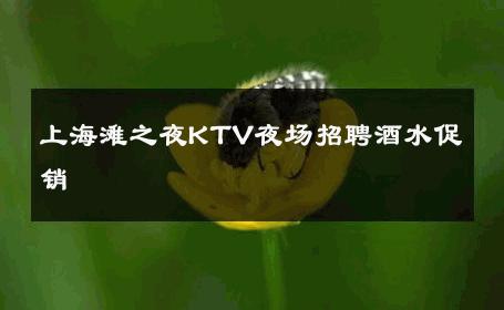 上海滩之夜KTV夜场招聘酒水促销 