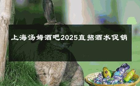 上海汤姆酒吧2025直招酒水促销 