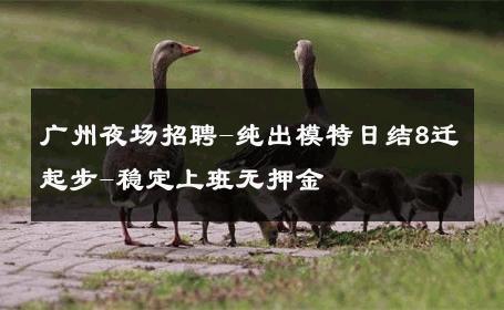 广州夜场招聘-纯出模特日结8迁起步-稳定上班无押金 