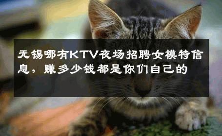 无锡哪有KTV夜场招聘女模特信息，赚多少钱都是你们自己的 