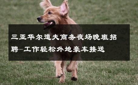 三亚华尔道夫商务夜场晚班招聘-工作轻松外地豪车接送 