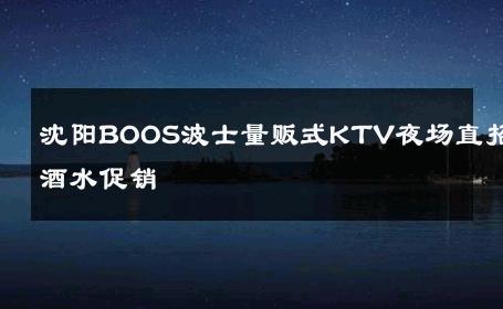 沈阳BOOS波士量贩式KTV夜场直招酒水促销 