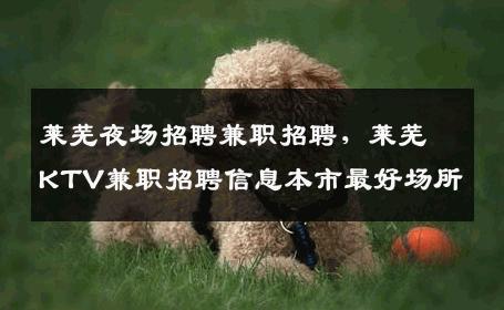 莱芜夜场招聘兼职招聘，莱芜KTV兼职招聘信息本市最好场所