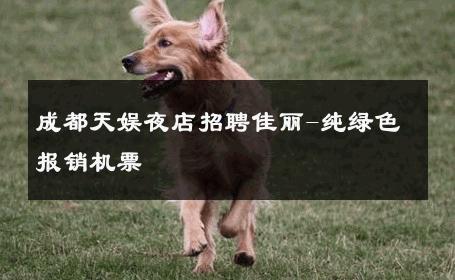 成都天娱夜店招聘佳丽-纯绿色报销机票 