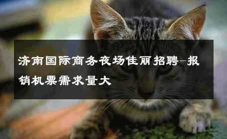 济南国际商务夜场佳丽招聘-报销机票需求量大 