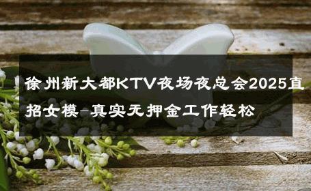 徐州新大都KTV夜场夜总会2025直招女模-真实无押金工作轻松 