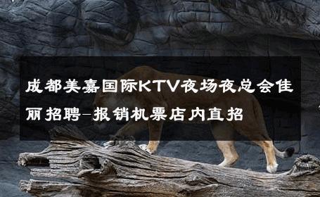 成都美嘉国际KTV夜场夜总会佳丽招聘-报销机票店内直招 