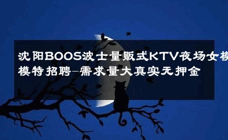 沈阳BOOS波士量贩式KTV夜场女模模特招聘-需求量大真实无押金 