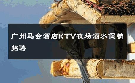 广州马会酒店KTV夜场酒水促销招聘 
