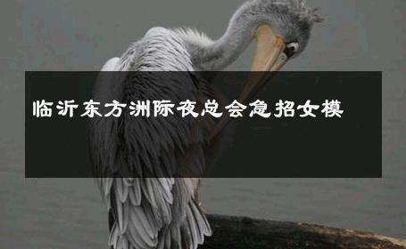 临沂东方洲际夜总会急招女模 