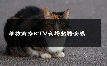 潍坊商务KTV夜场招聘女模 