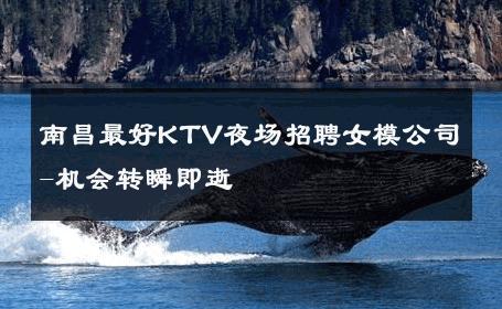 南昌最好KTV夜场招聘女模公司-机会转瞬即逝 