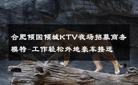合肥倾国倾城KTV夜场招募商务模特-工作轻松外地豪车接送 