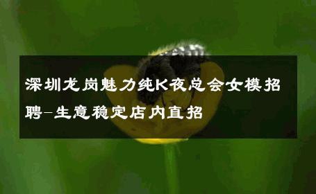 深圳龙岗魅力纯K夜总会女模招聘-生意稳定店内直招 