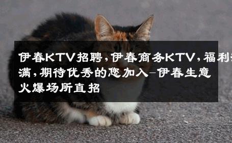 伊春KTV招聘,伊春商务KTV,福利满满,期待优秀的您加入-伊春生意火爆场所直招
