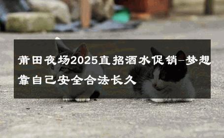 莆田夜场2025直招酒水促销-梦想靠自己安全合法长久 
