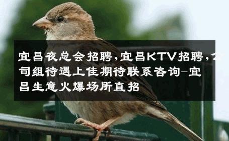 宜昌夜总会招聘,宜昌KTV招聘,公司组待遇上佳期待联系咨询-宜昌生意火爆场所直招