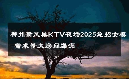 柳州新凤巢KTV夜场2025急招女模-需求量大房间爆满 