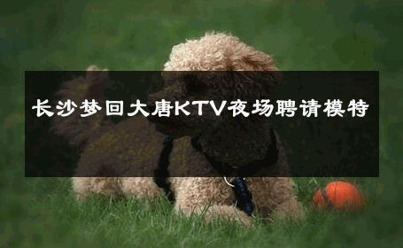 长沙梦回大唐KTV夜场聘请模特 