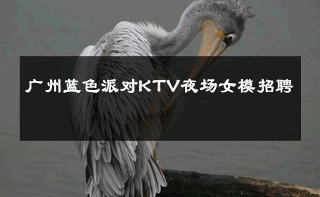 广州蓝色派对KTV夜场女模招聘 