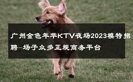广州金色年华KTV夜场2023模特招聘-场子众多正规商务平台 