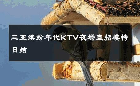 三亚缤纷年代KTV夜场直招模特日结 