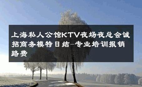 上海私人公馆KTV夜场夜总会诚招商务模特日结-专业培训报销路费 