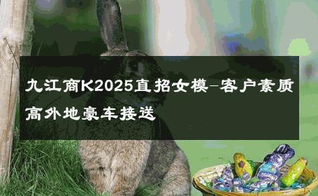 九江商K2025直招女模-客户素质高外地豪车接送 