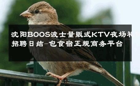 沈阳BOOS波士量贩式KTV夜场礼仪招聘日结-包食宿正规商务平台 
