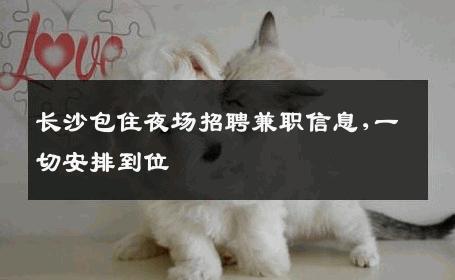 长沙包住夜场招聘兼职信息,一切安排到位 