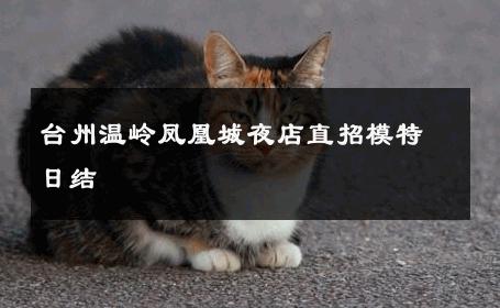 台州温岭凤凰城夜店直招模特日结 