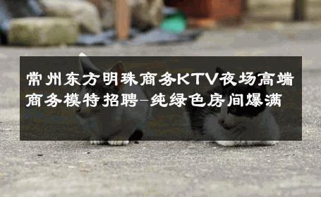 常州东方明珠商务KTV夜场高端商务模特招聘-纯绿色房间爆满 