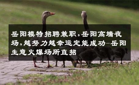 岳阳模特招聘兼职,岳阳高端夜场,越努力越幸运定能成功-岳阳生意火爆场所直招