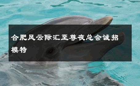合肥风云际汇至尊夜总会诚招模特 