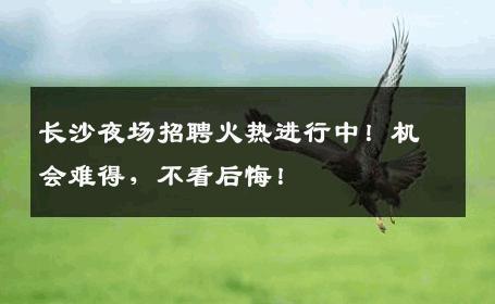 长沙夜场招聘火热进行中！机会难得，不看后悔！ 