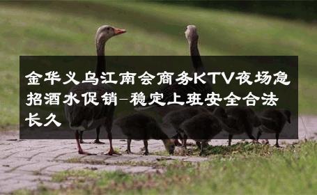 金华义乌江南会商务KTV夜场急招酒水促销-稳定上班安全合法长久 