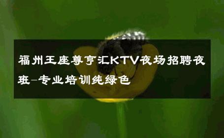福州王座尊亨汇KTV夜场招聘夜班-专业培训纯绿色 