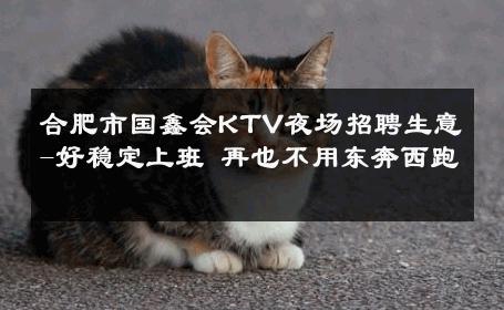 合肥市国鑫会KTV夜场招聘生意-好稳定上班 再也不用东奔西跑 