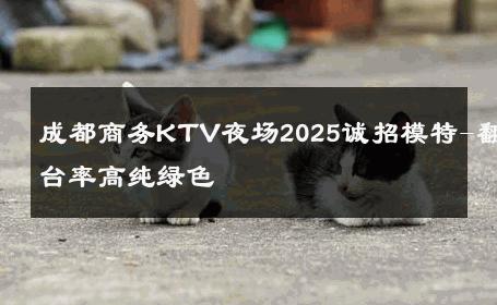 成都商务KTV夜场2025诚招模特-翻台率高纯绿色 