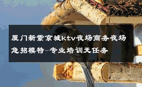 厦门新紫京城ktv夜场商务夜场急招模特-专业培训无任务 
