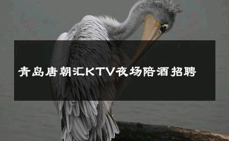 青岛唐朝汇KTV夜场陪酒招聘 